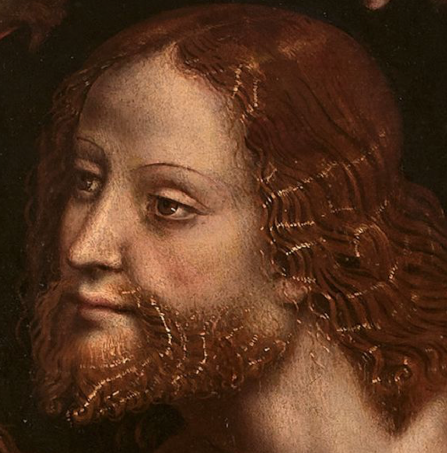 Detail of Adam’s head in Adam and Eve, attributed to Giampietrino.