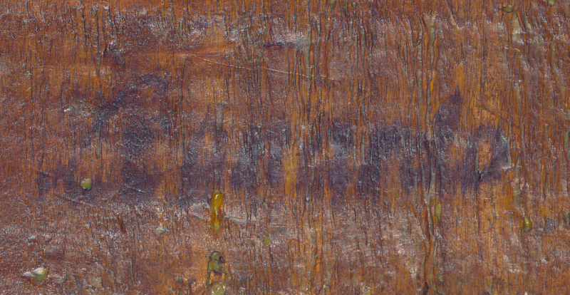 Detail of the “Leonardo” inscription on the reverse of the panel, with slightly enhanced colour saturation.