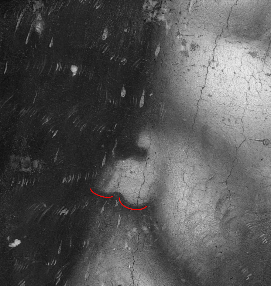 Infrared detail of Christ’s ear in the painting, with red lines highlighting the earlobe’s two successive arcs: a tight first curve followed by a broader lower arc.