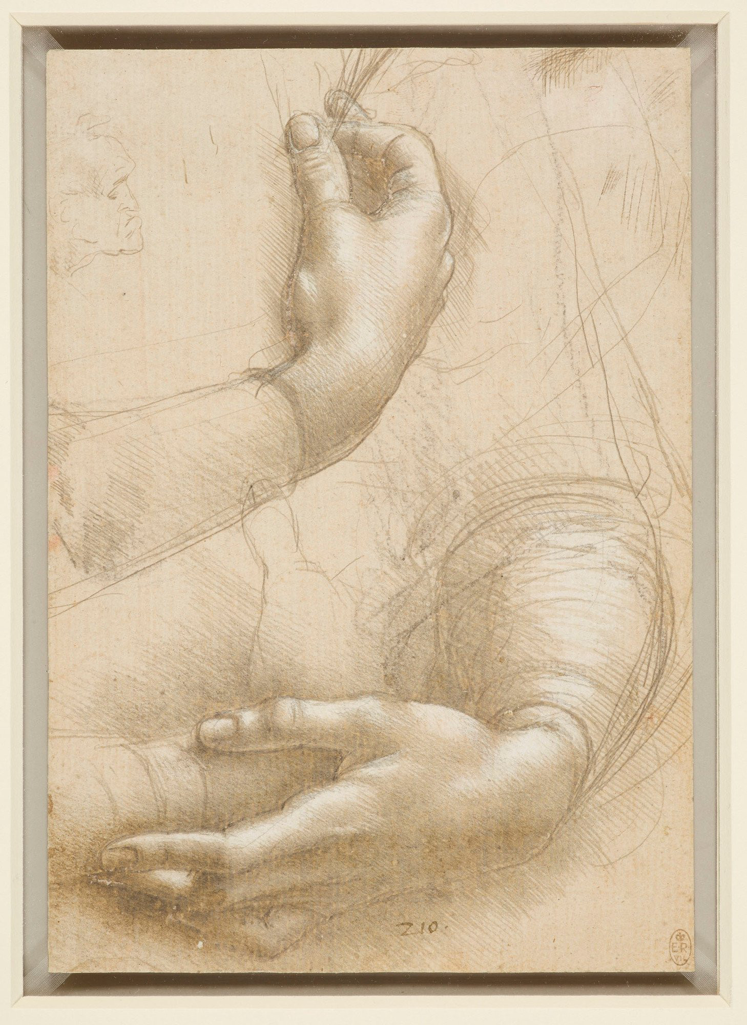Leonardo da Vinci’s study of a woman’s hands (RCIN 912558), showing two overlapping studies of hands with curled fingers.