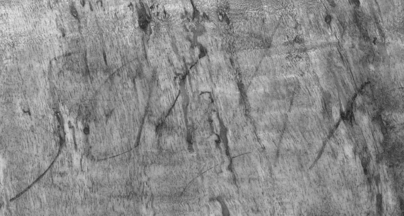 Infrared detail of the incised inscription read as “Salaj/?” on the reverse of the panel, with the final character undeciphered.